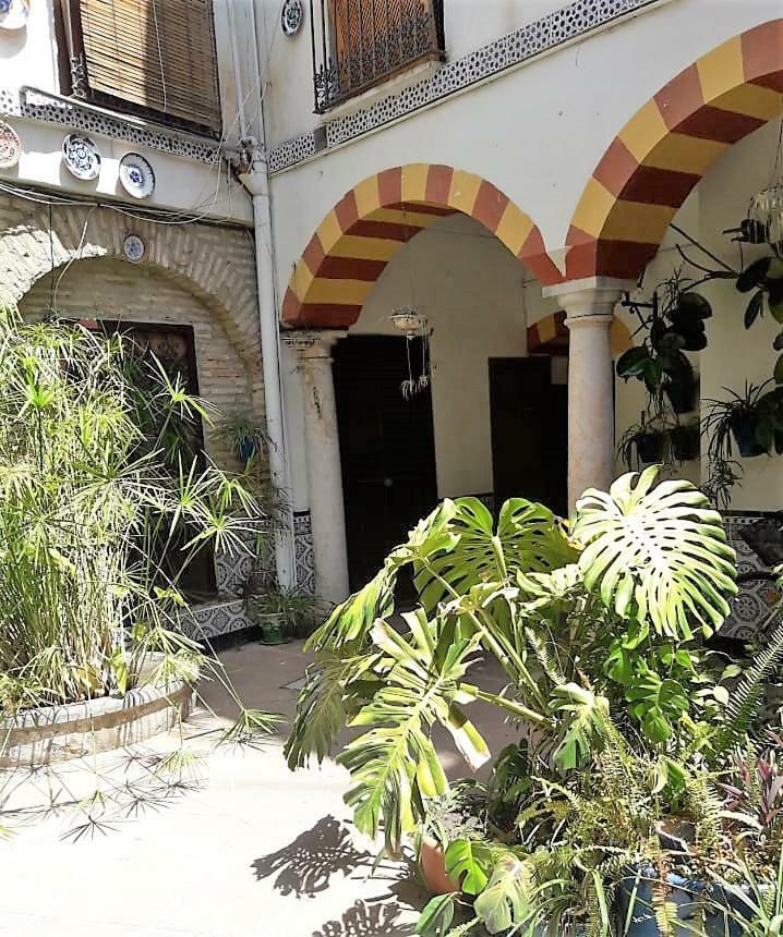 Ap Abderraman I Cordoba Daire Dış mekan fotoğraf